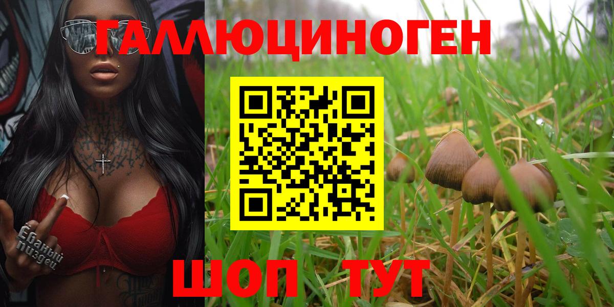 Псилоцибиновые грибы Psilocybine cubensis Мелеуз